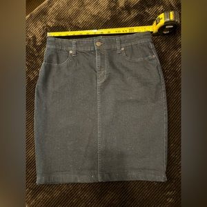 Banana Republic Skirt size 6